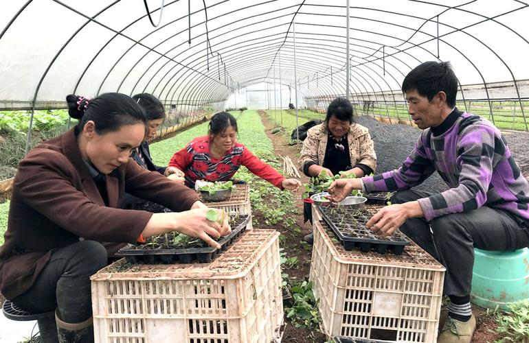 高压旋转接头 第205页