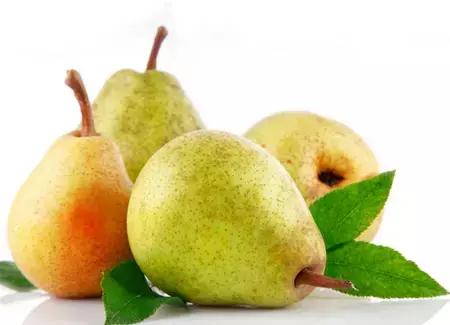 最新品种梨,科技与生活融合之完美果实