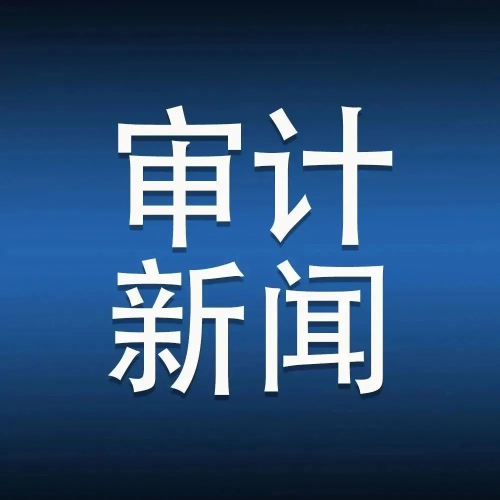审计最新动态与高科技产品介绍,引领时代风潮