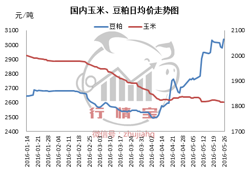山东豆粕价格最新行情,科技引领,未来趋势已显现