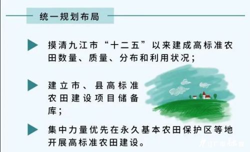 口粮田新政策引领农业变革，科技重塑田园生活新篇章
