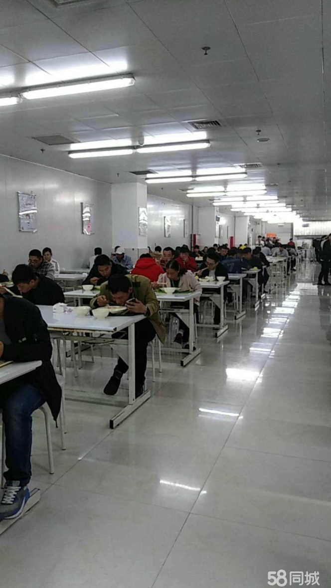 胶州电子厂最新招聘,启程探索自然美景,寻找内心平和之旅