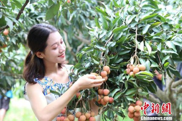 高压旋转接头 第177页