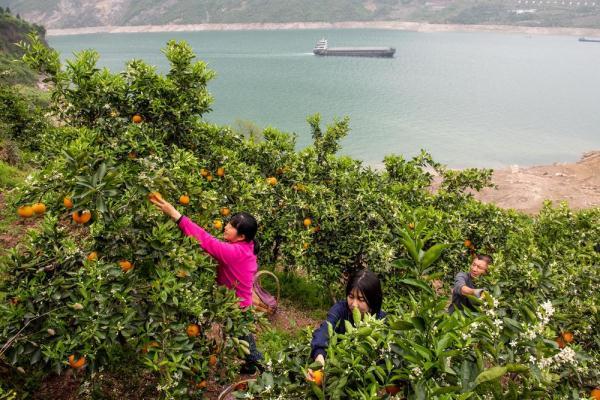 秭归房屋出售最新信息及市场现状与多方观点探讨