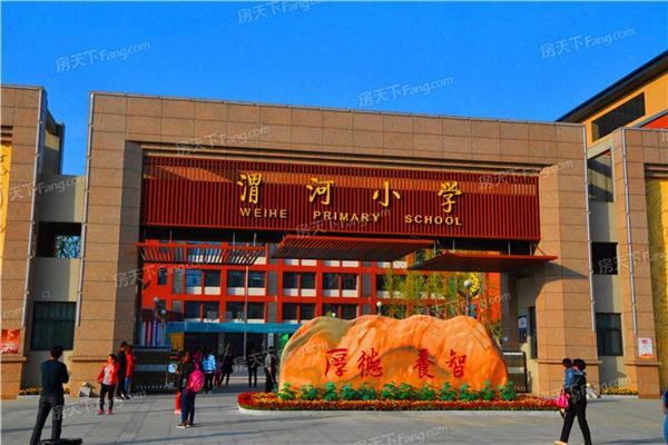 杜桥最新楼盘概览与介绍