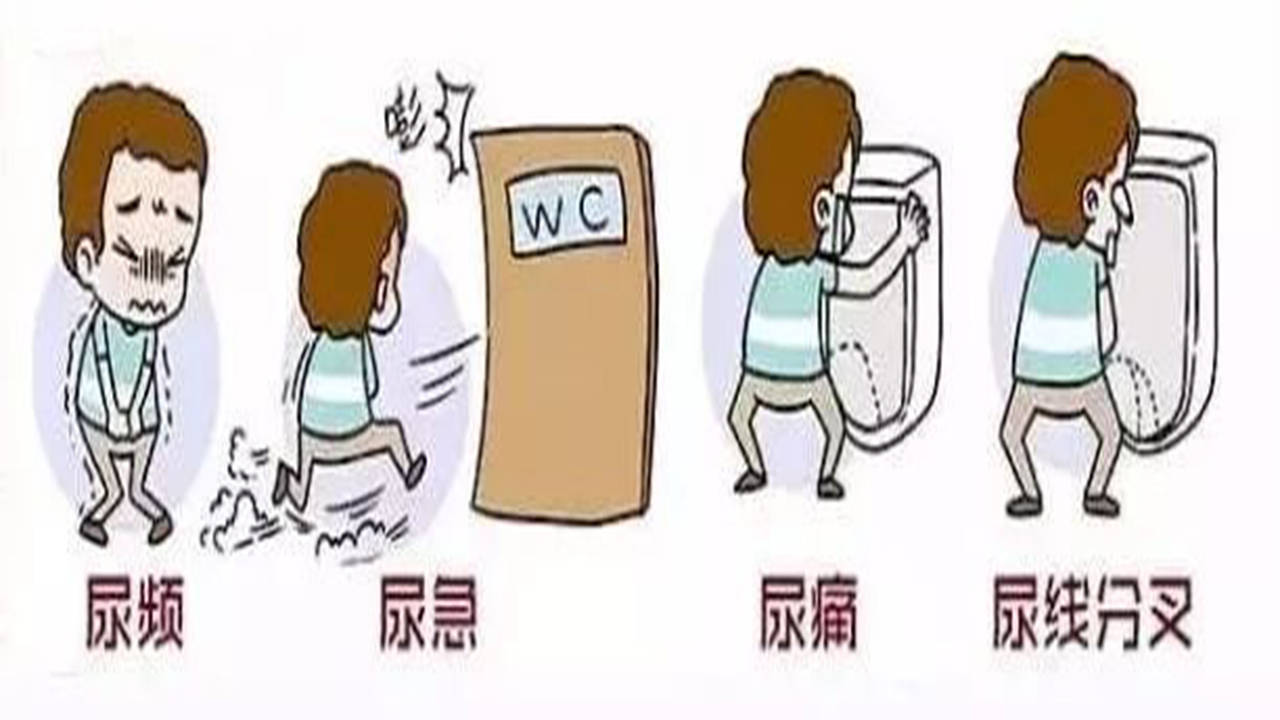 导热油旋转接头 第95页