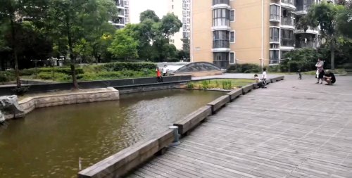 加州花园最新探秘,自然美景之旅,寻找内心的平和宁静