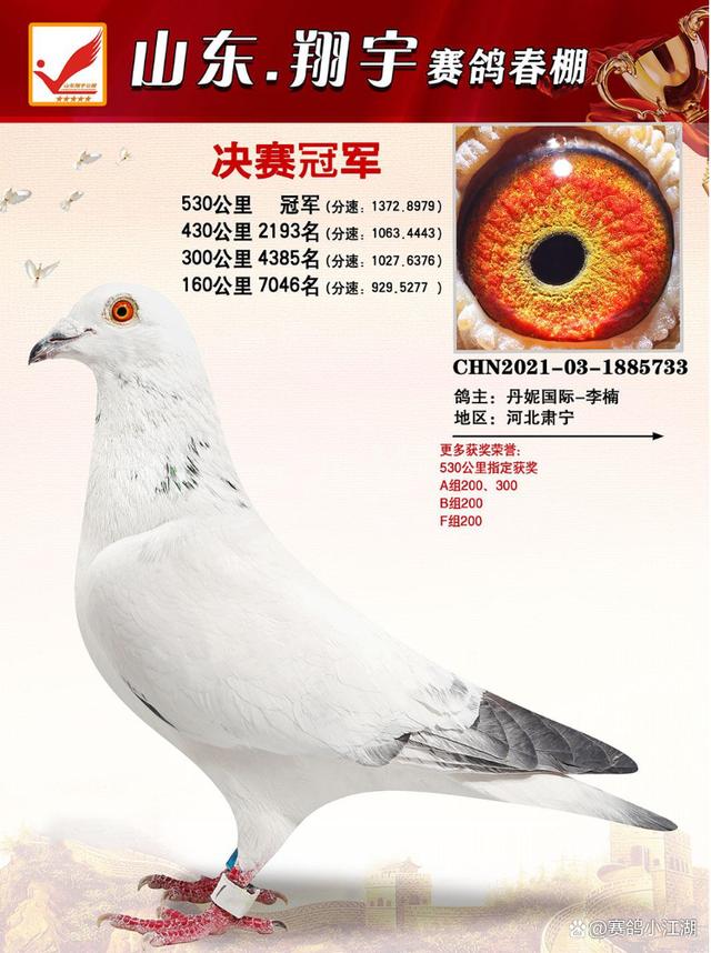 最新工棚搭建步骤详解与指南