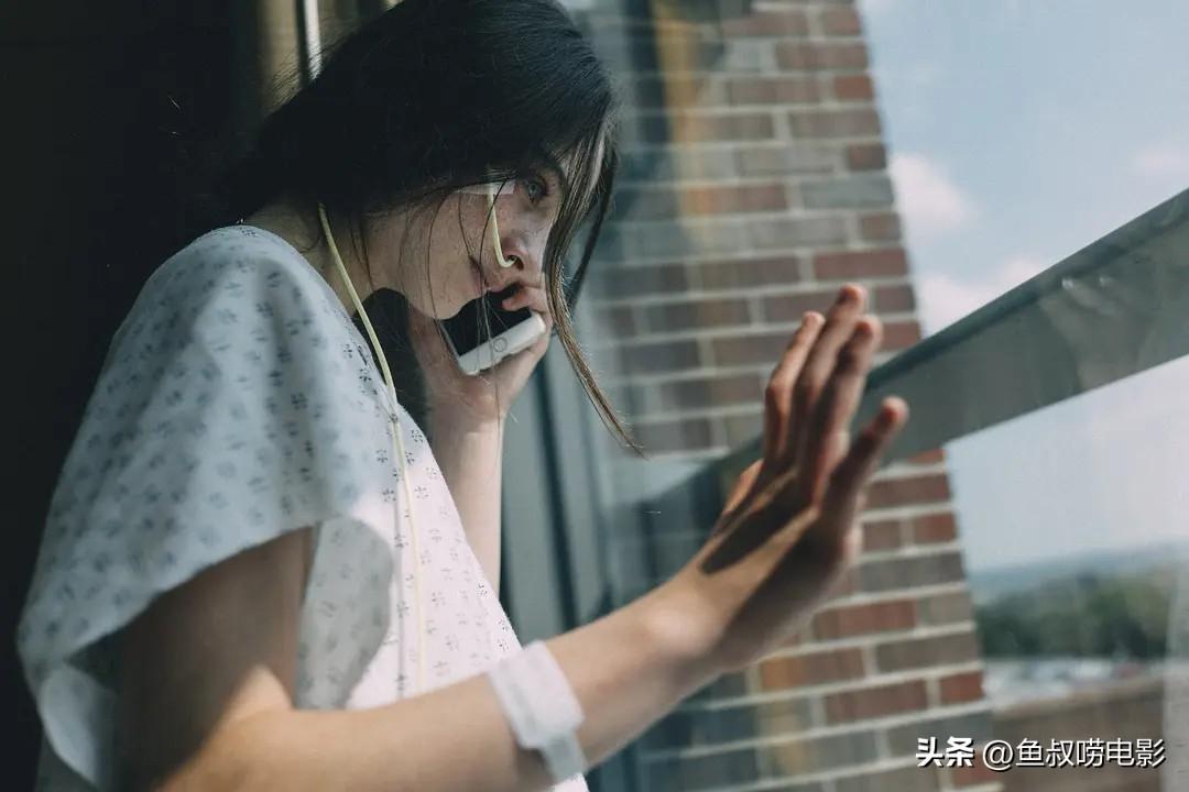 妮可多最新现象,探究其在时代中的独特背景与影响