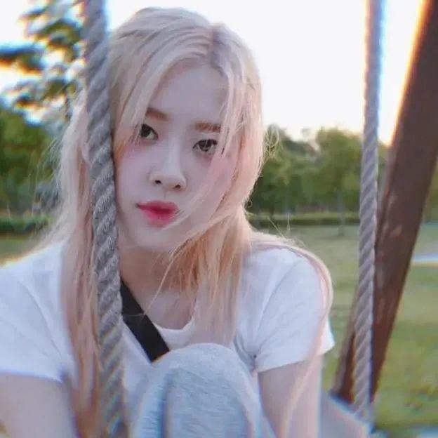 朴彩英最新头像探索,小巷独特小店的魅力之旅