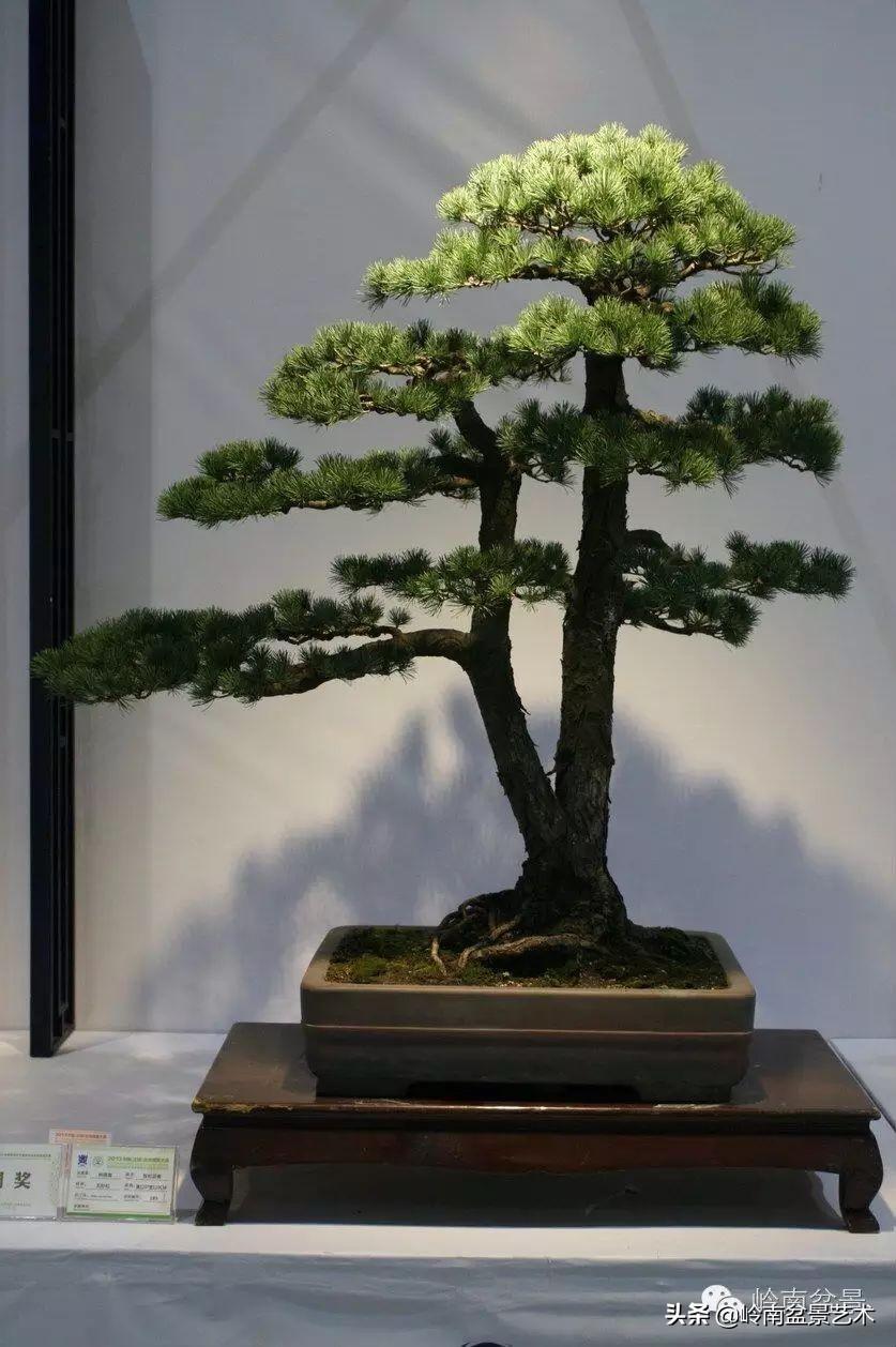 第212页