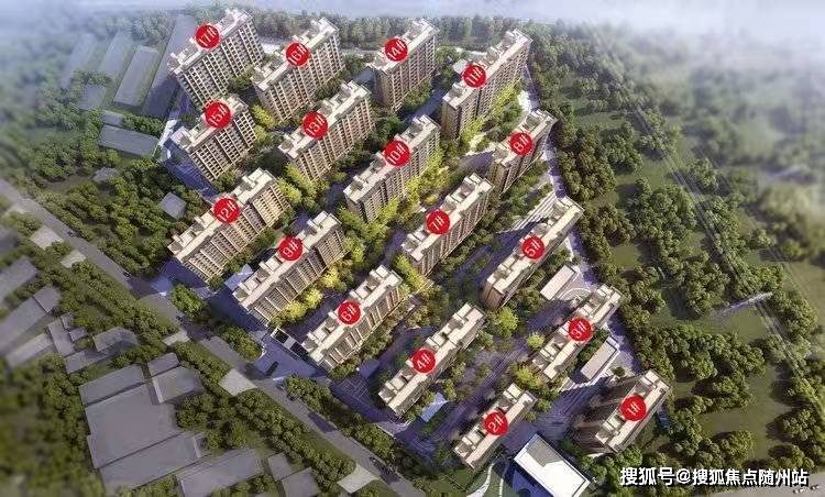 沙巍最新消息，科技重塑生活，智能魅力展现未来体验